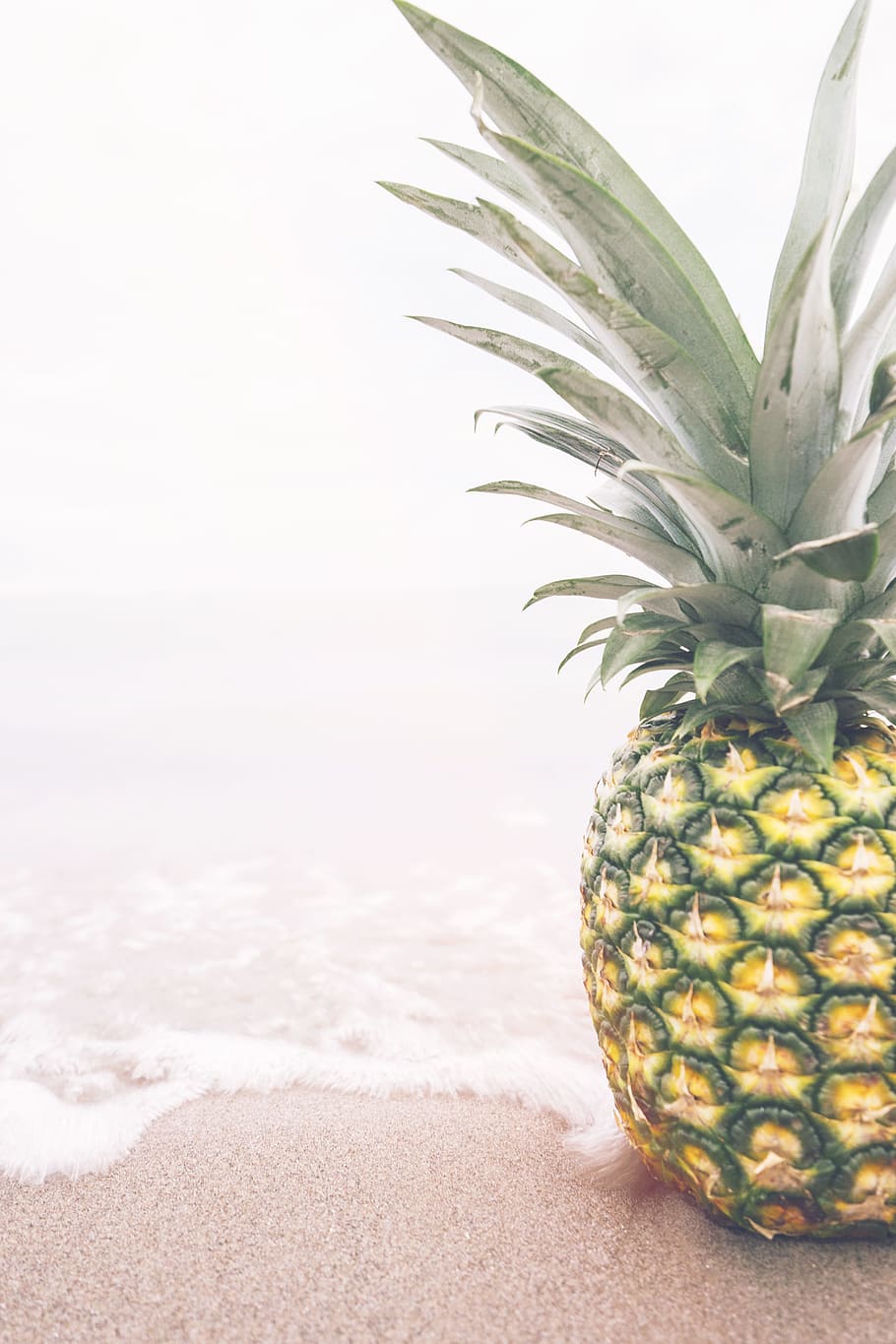 pineapple near seashore, pineapple on beach, fruit, food, freshness HD wallpaper