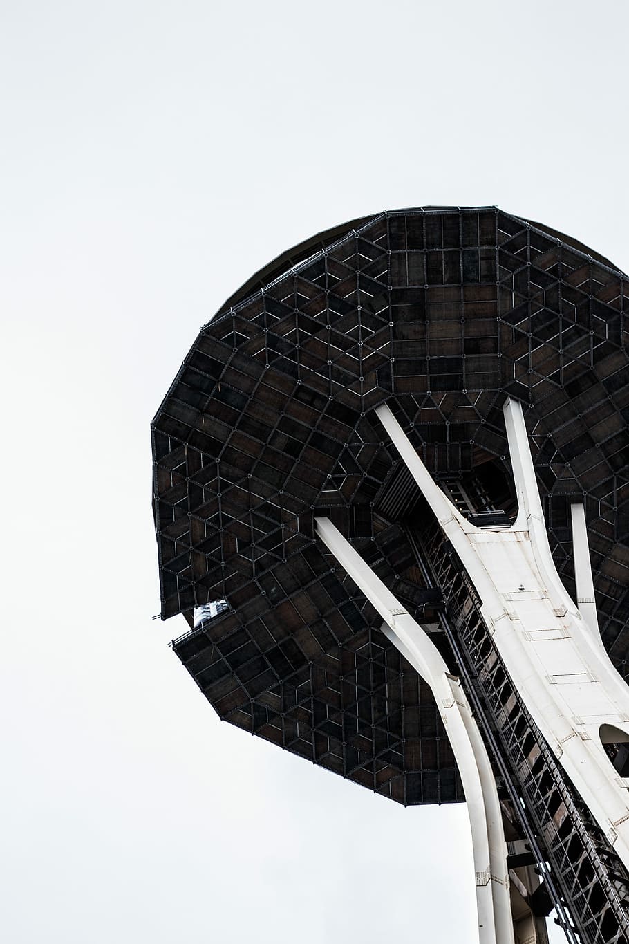 Space Needle, Seattle, person looking at brown and white tower HD wallpaper
