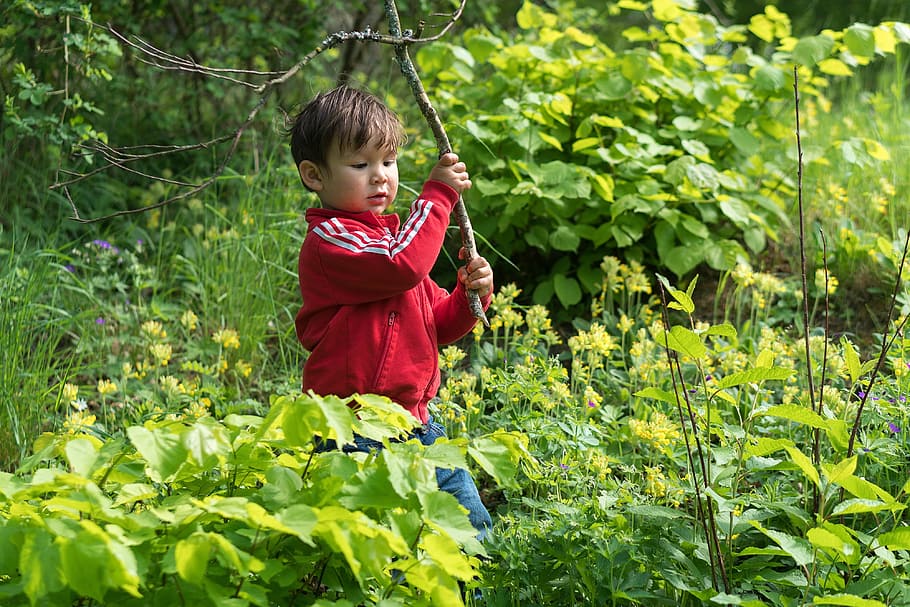 boy, forest, nature, child, childhood, fun, happy, outdoors HD wallpaper