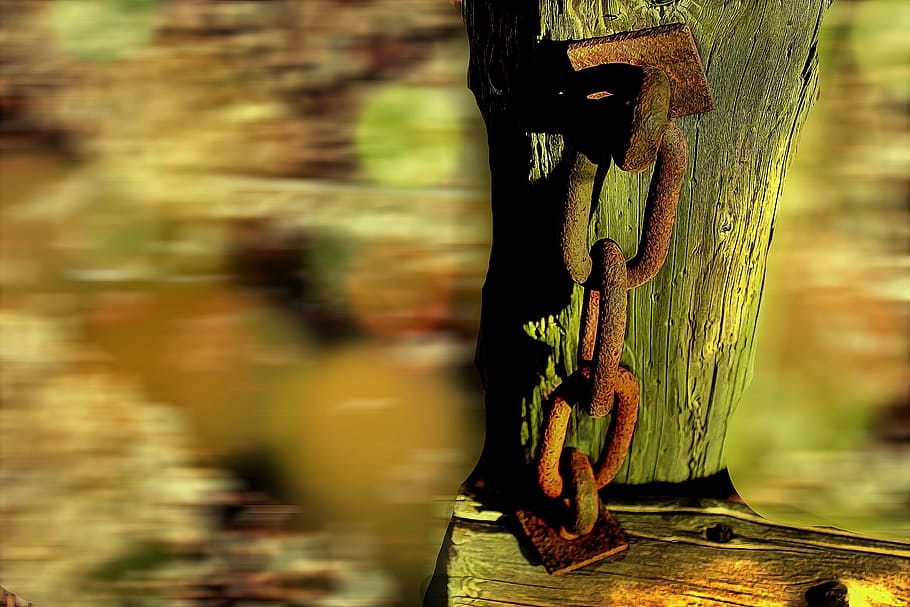 chain, log, stainless, weathered, rusted, broken, decay, ring HD wallpaper