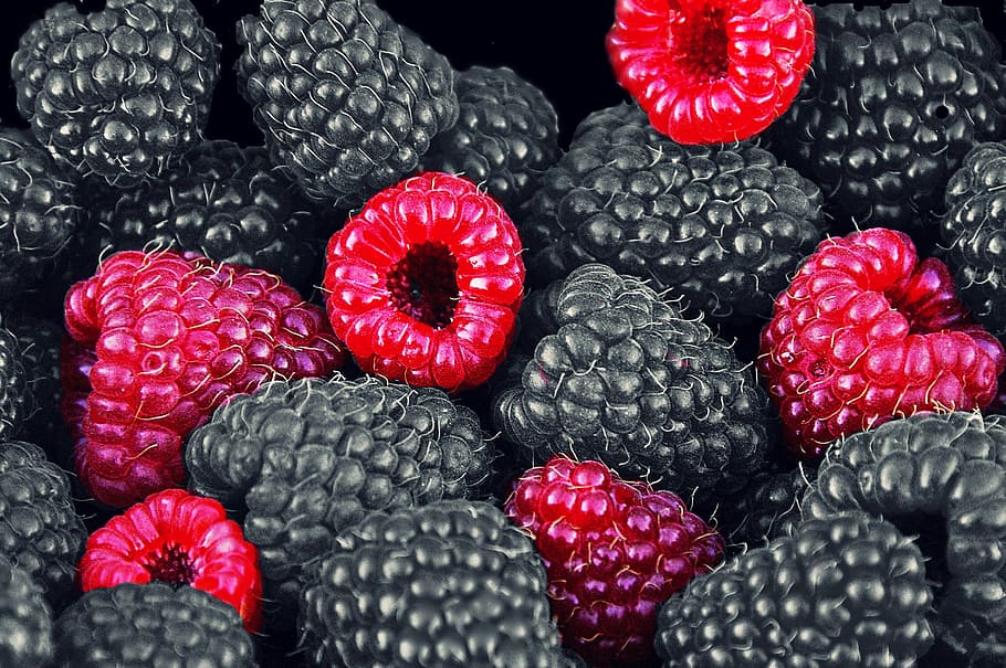 selective color of red berries, raspberries, fruits, vitamins, HD wallpaper