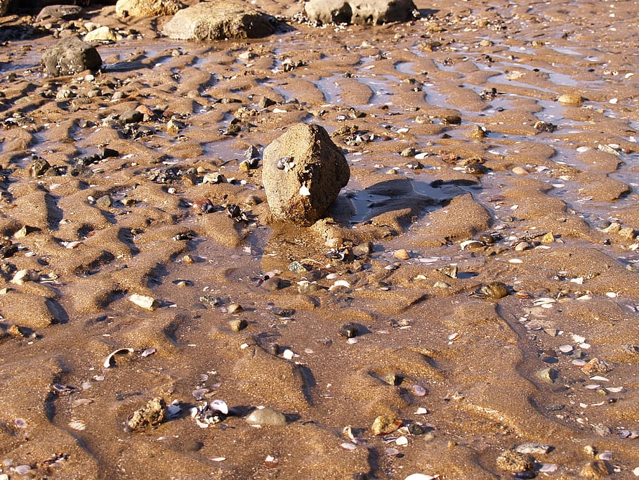 rock, sand, beach, stone, zen-like, nature, ocean, shore, water HD wallpaper