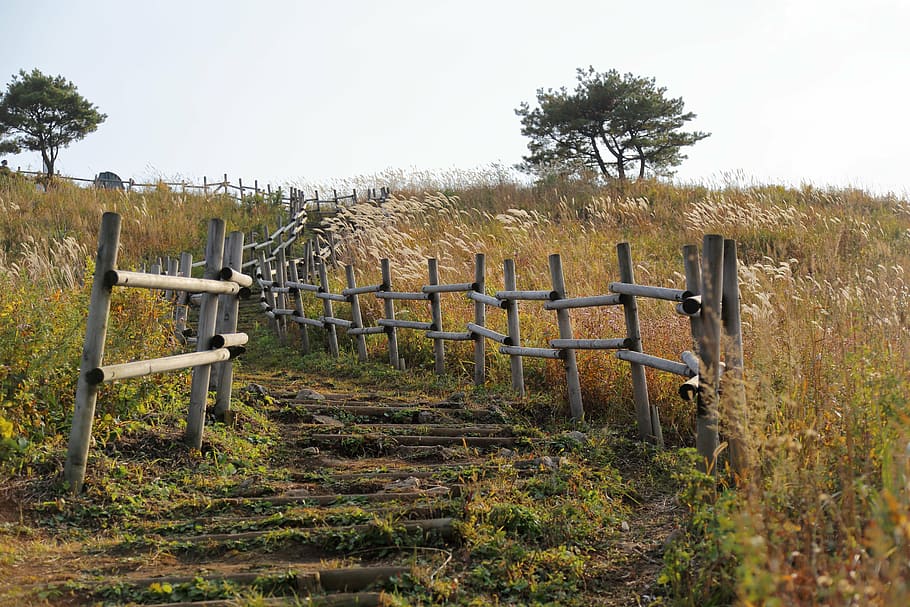 Hd Wallpaper Brown Wooden Fence And Brown Grass Field Silver Grass Bald Mountain Wallpaper Flare