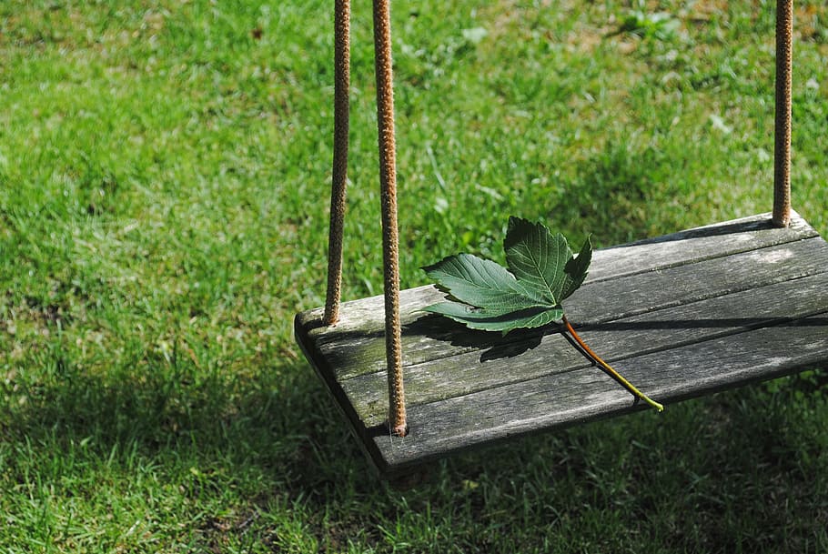green leaf on swing, Garden, Sad, Nature, Park, tree, season HD wallpaper