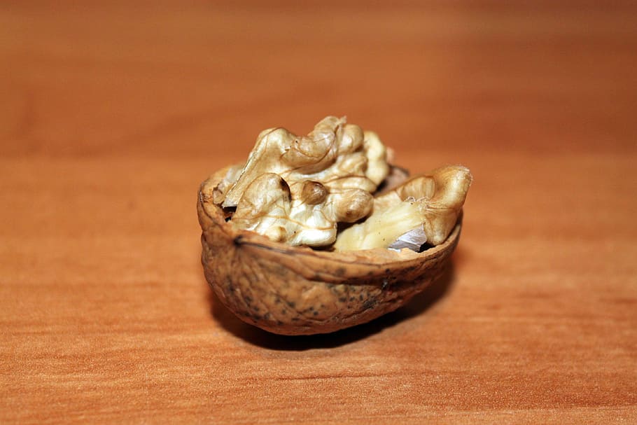 nutshell, ship, walnut, close, autumn, walnuts, food and drink HD wallpaper