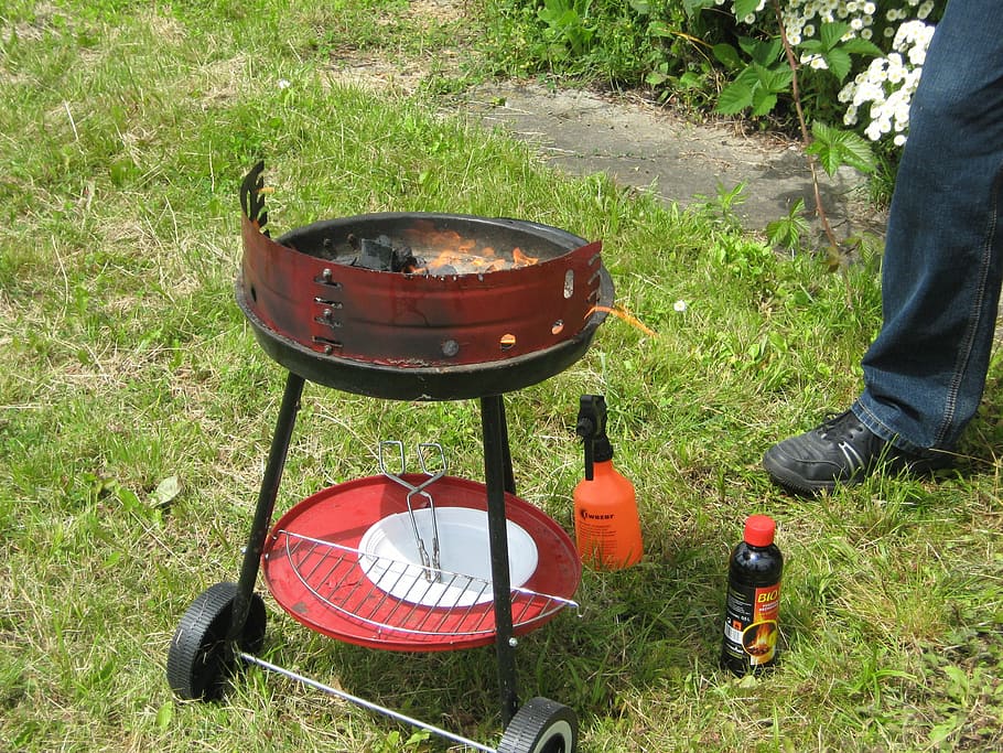 grill, burning, eating, tidbit, grass, real people, day, land HD wallpaper