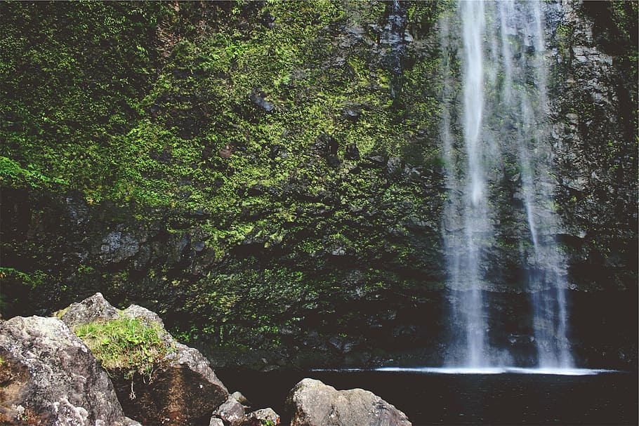 green leafed plants, waterfall, cascade, flowing, scenic, outdoor HD wallpaper