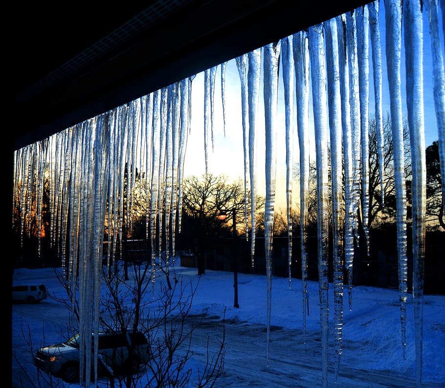 icicle, minnesota, winter, cold temperature, snow, tree, plant HD wallpaper