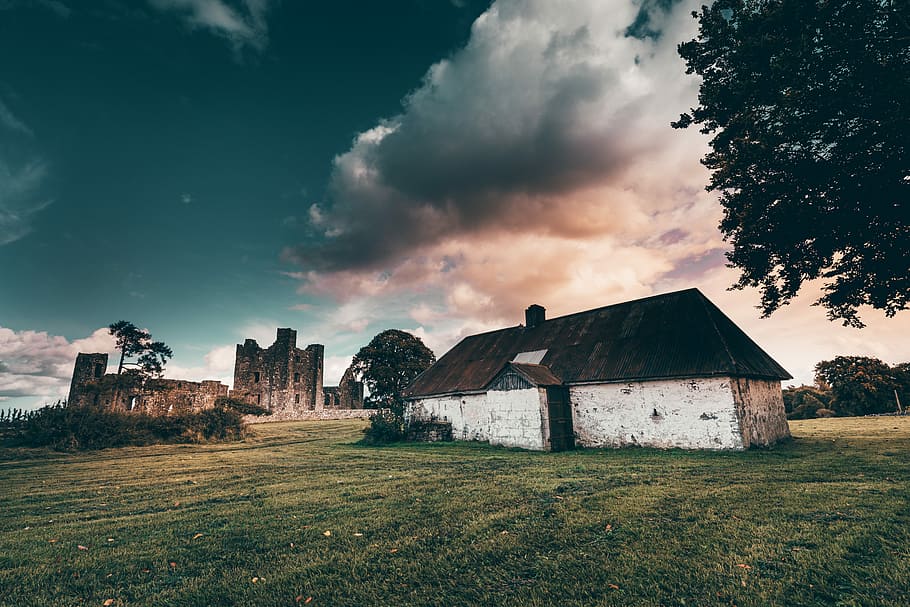 Summer Ruins, white concrete house near green leaf tree at daytime HD wallpaper