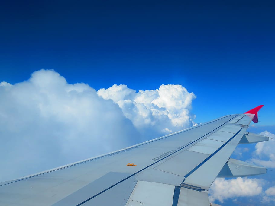 sky, plane, clouds, blue, blue sky, wing, cloud - sky, airplane HD wallpaper
