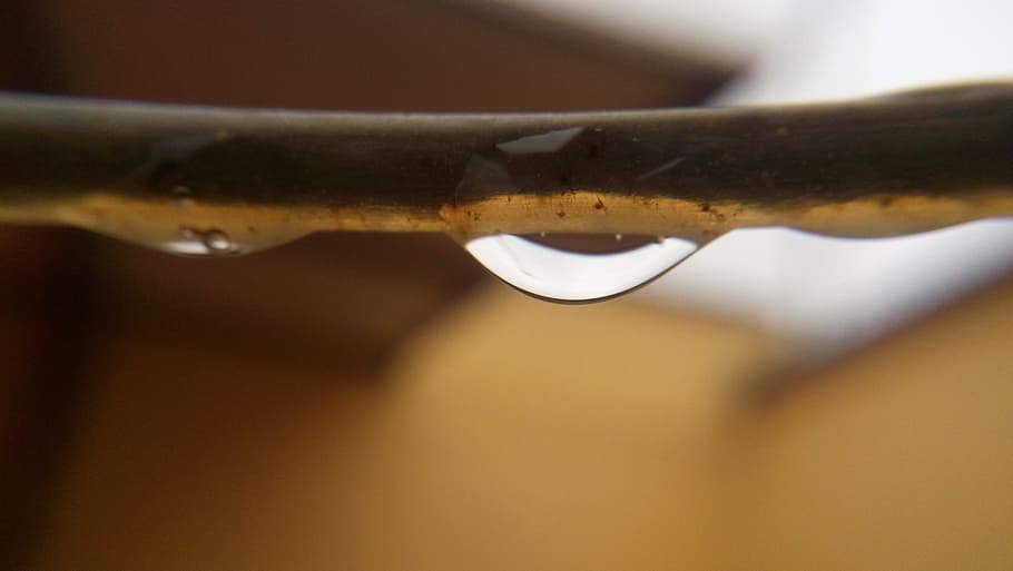 water, drop, cable, tap, rain, wet, nature, plant, moisture HD wallpaper