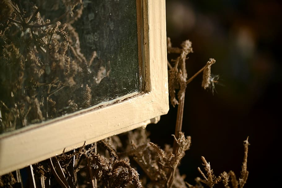 window, glass, see through, wood - material, close-up, no people HD wallpaper