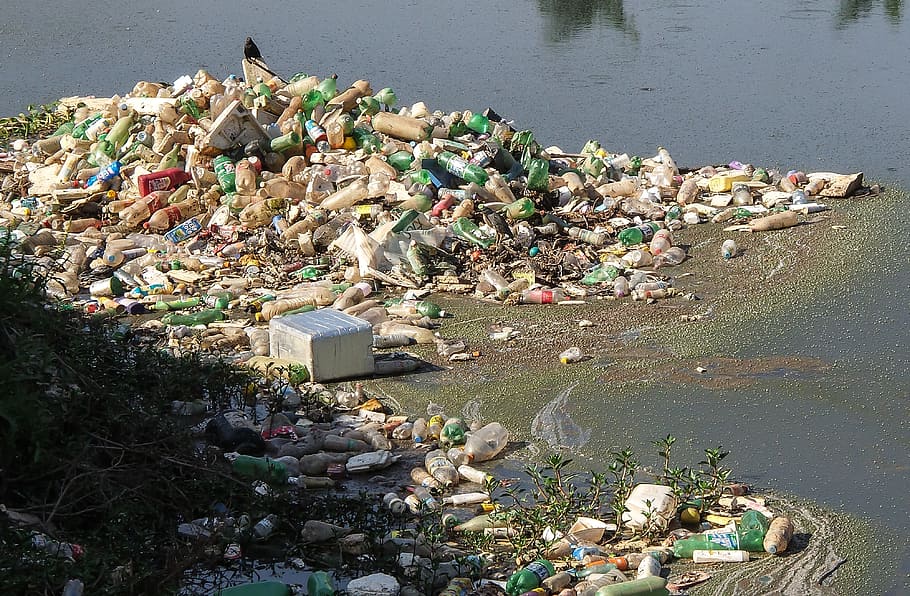 waste floating on water, Trash, River Pines, Rubble, Pollution, HD wallpaper