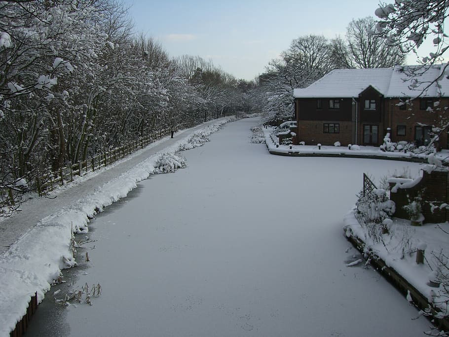 Snow, Canal, Winter, cold temperature, weather, frozen, tree HD wallpaper