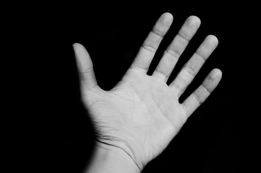grayscale photography of human left hand, assistance, background HD wallpaper
