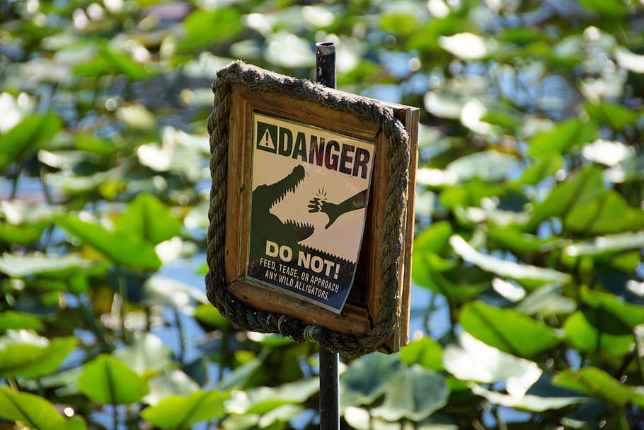 square brown and black danger signboard, warning, warnschild HD wallpaper