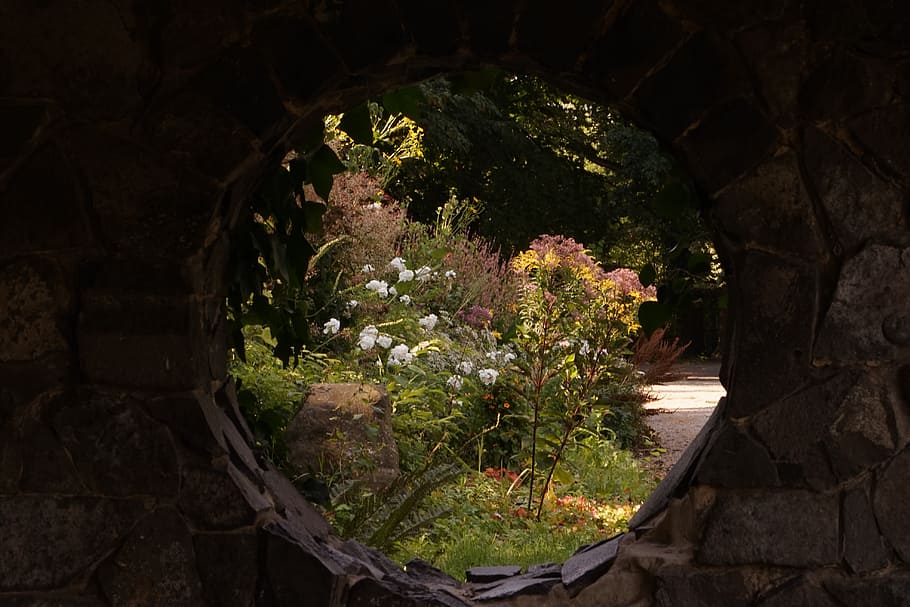 by looking, wall, window, flowers, stone wall, plant, growth HD wallpaper