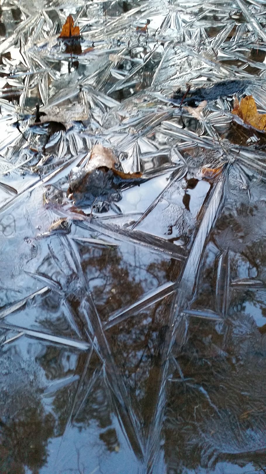 winter, frozen, ice, cold, water, zing, netherlands, mirror HD wallpaper