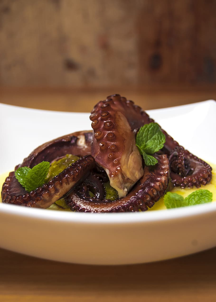 Octopus, Fish, Mint, Tentacles, Dish, chef, white, wood, colorful HD wallpaper