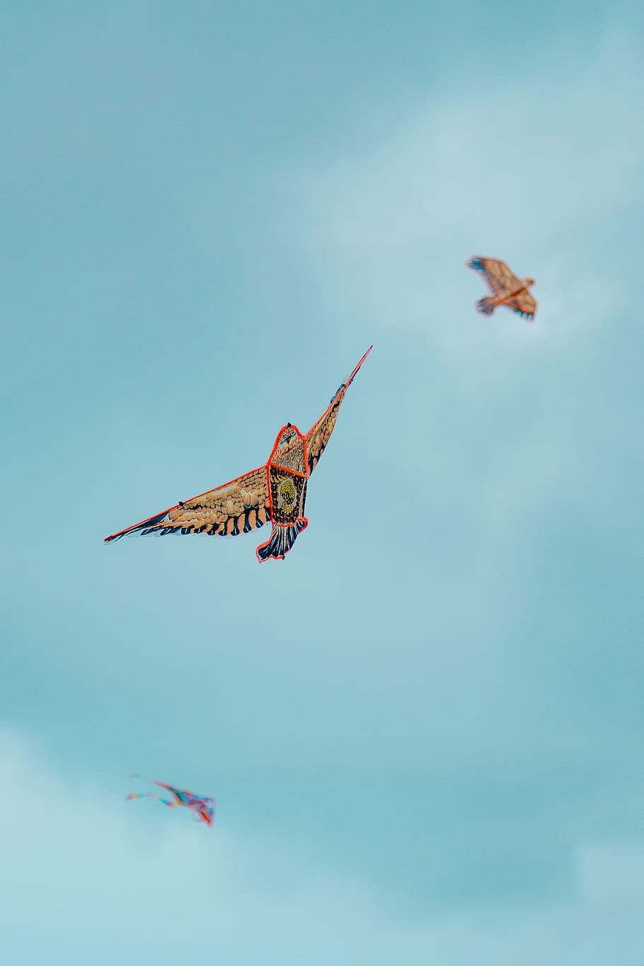 tilt shift lens photography of three kites, selective focus photography of multicolored kite under blue sky HD wallpaper