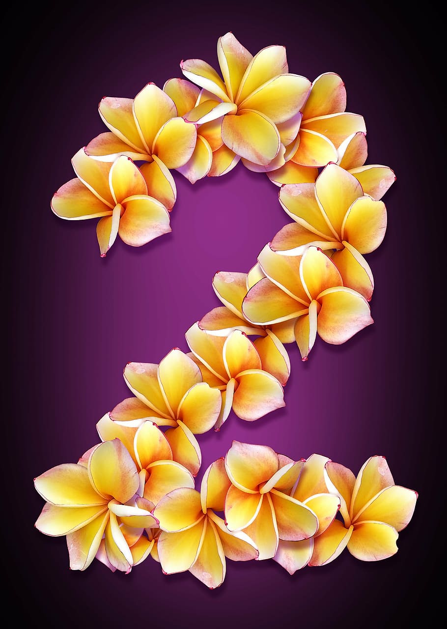 figure, date, flowers, collage, design, idea, bright, color HD wallpaper