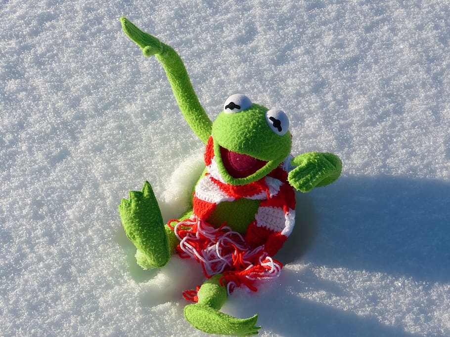 Kermit, Frog, Fun, Snow, Winter, Cold, no people, food and drink HD wallpaper