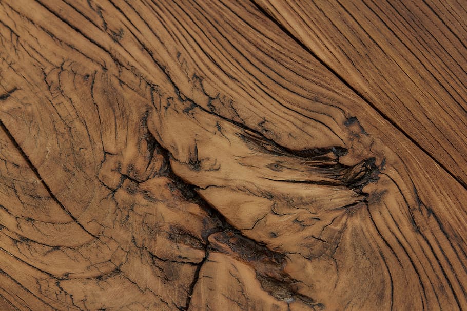 Elm, High, Current, Texture, Wood, high current, wood texture, HD wallpaper