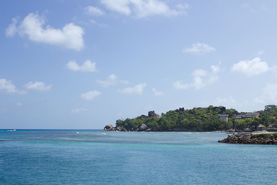 Island, Seychelles, Indian Ocean, holiday, sea, tropical, palm trees, HD wallpaper