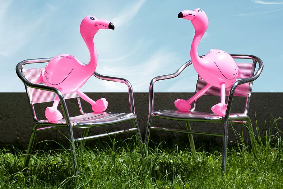 two pink flamingo balloons on top of chairs, inflatable, romantic, HD wallpaper