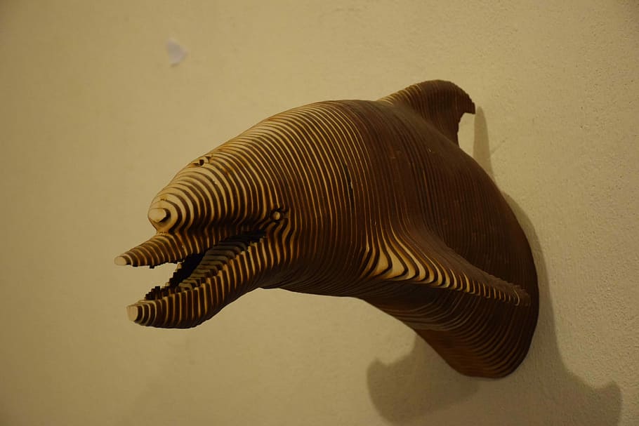 Head, Dolphin, Tree, Animals, Wall, living nature, contemporary art HD wallpaper