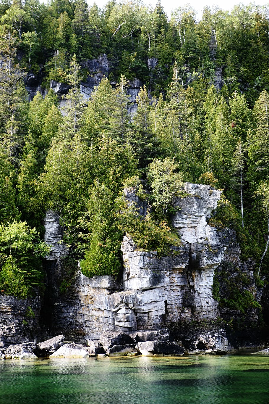 Flowerpot Island Ontario, forest trees on mountain near on body of water HD wallpaper
