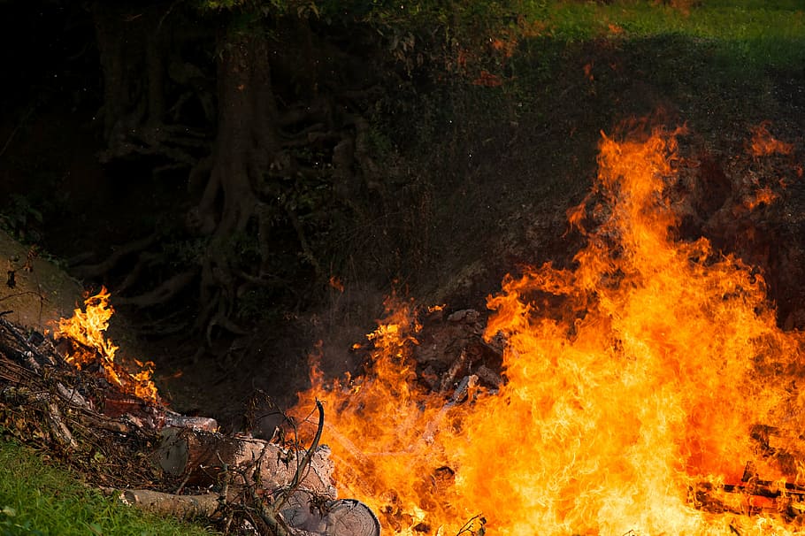 fire, burn, flame, hot, blaze, danger, burning, fire - natural phenomenon HD wallpaper