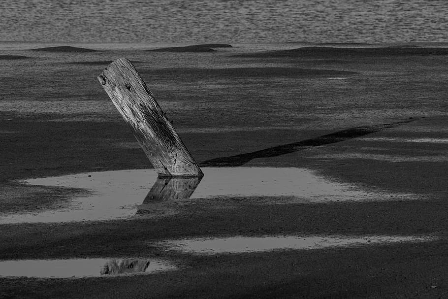 grey scale photo of wooden plank, grayscale, floating, body, water, HD wallpaper