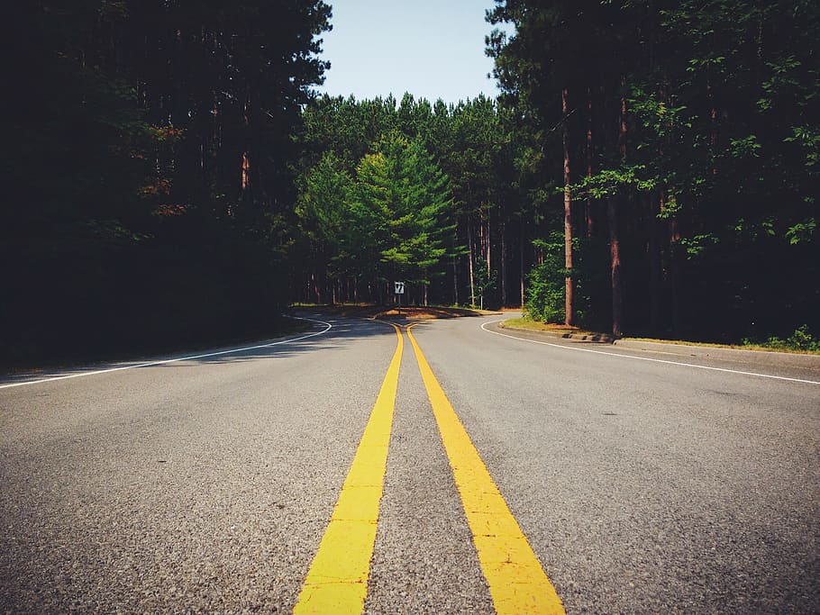 road, curve, forest, lines, decision, fork, symmetry, direction, HD wallpaper