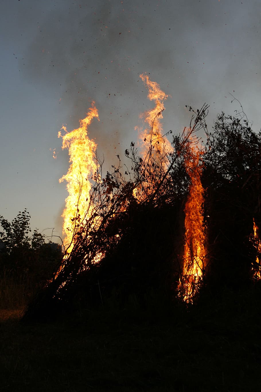 flame, bonfire, smoke, tree, plant, sky, burning, nature, fire - natural phenomenon HD wallpaper