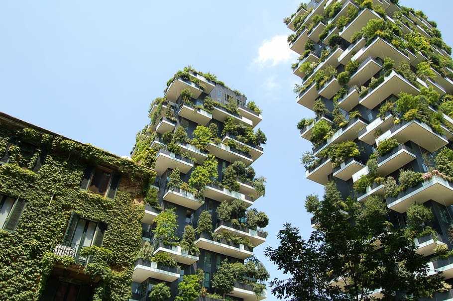 white-and-gray concrete hotels with plants on wall, green, hanging HD wallpaper
