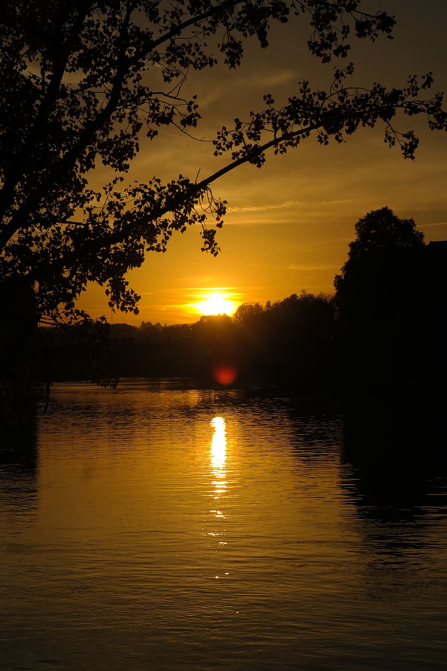 sunset, river, danube, water, tree, branch, evening, backlighting HD wallpaper