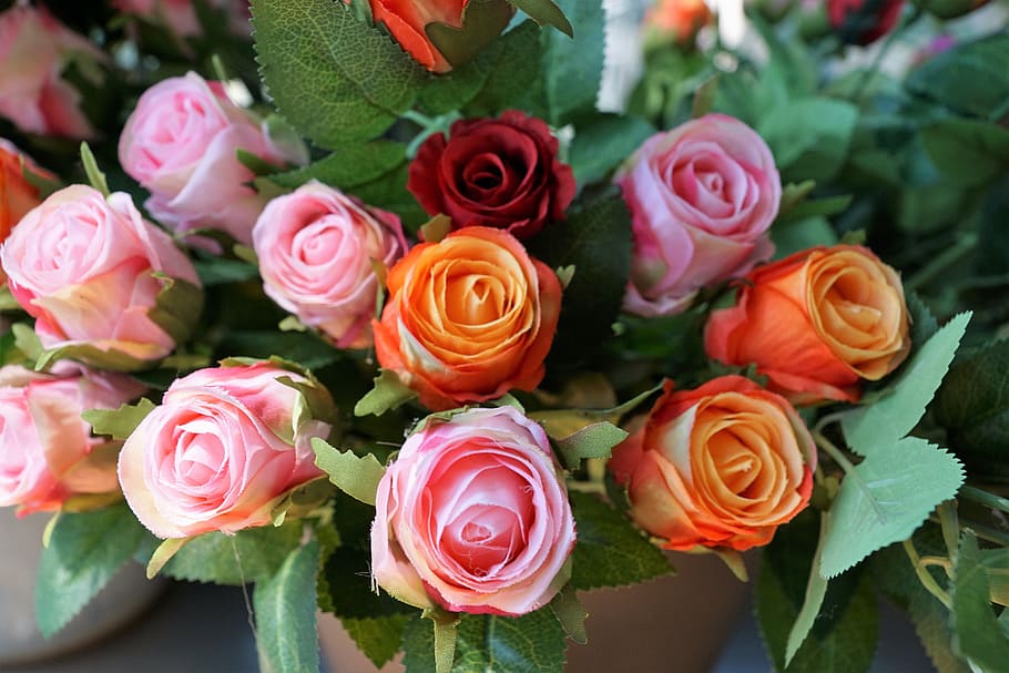 Plastic, Flower, Artificial, rose, decoration, blossom, bloom HD wallpaper