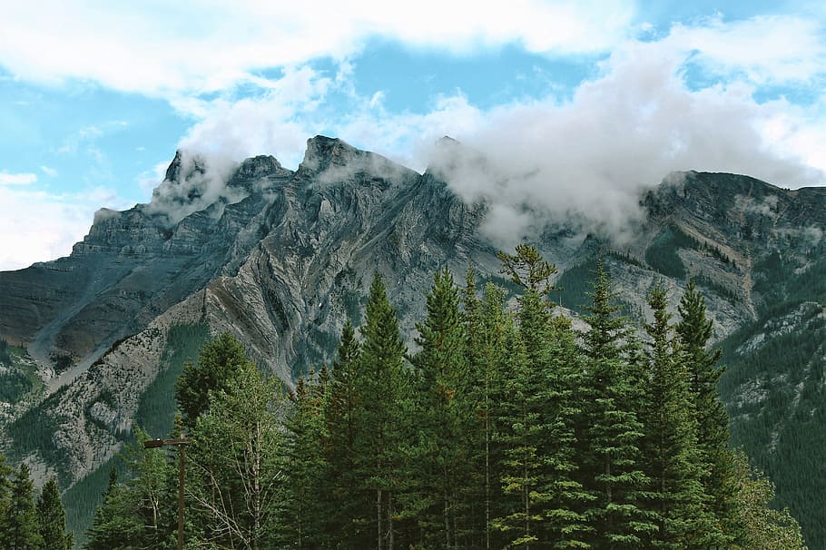 green trees and brown mountains under white sunny cloudy sky, green trees near mountain range under cloudy sky HD wallpaper