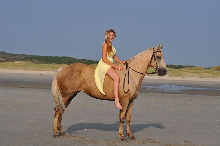 woman riding on horse during daytime, quarter horse, beach, bareback