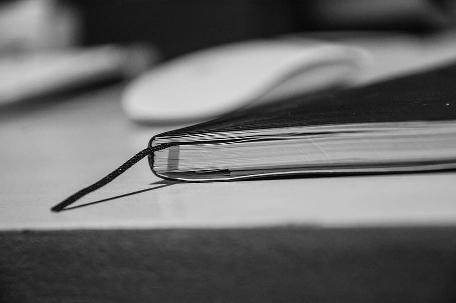 book, reading, study, learning, education, business, office HD wallpaper