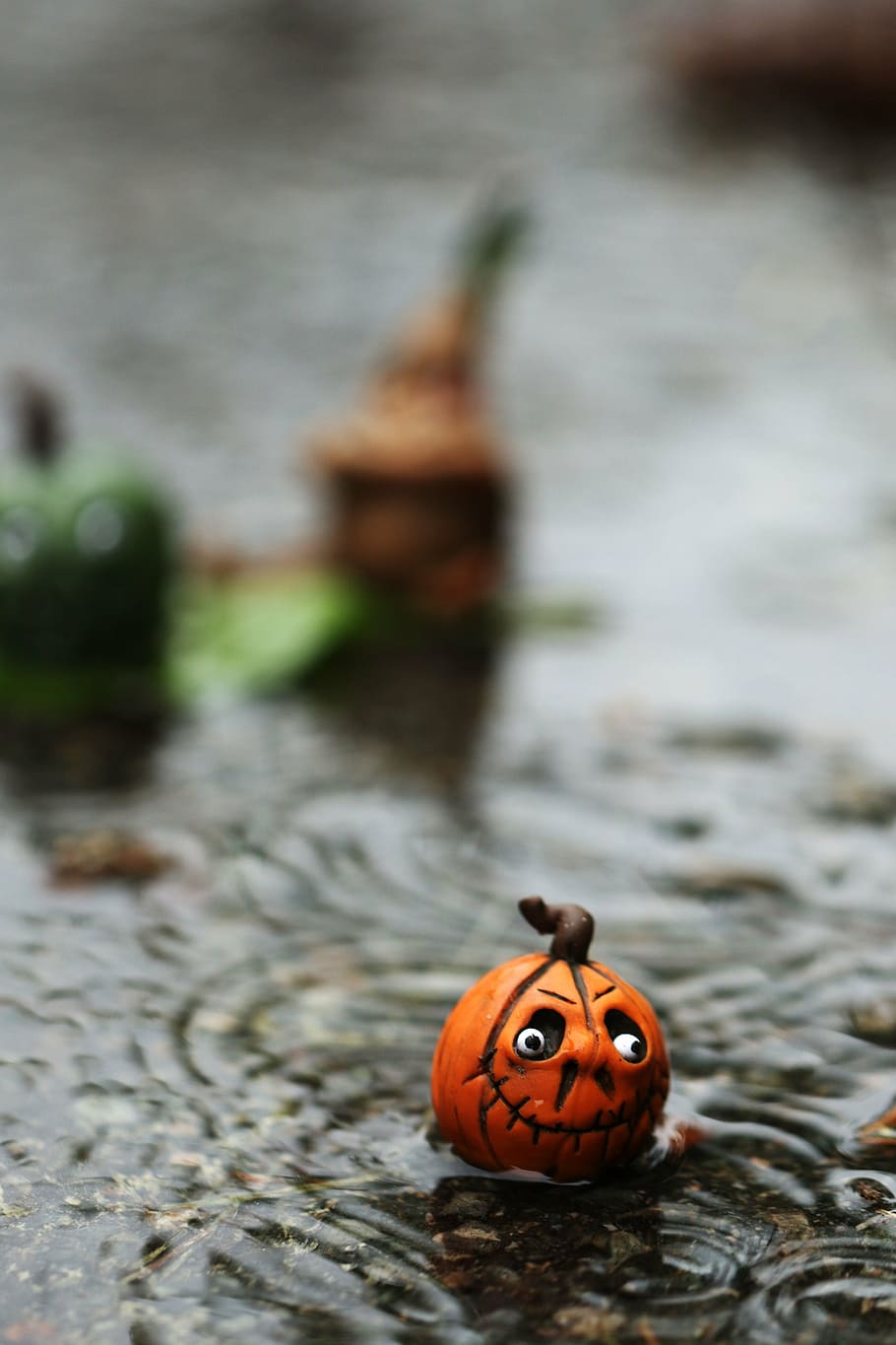 water, leaf, figure, rain, tiny, weather, wet, nature, animal HD wallpaper