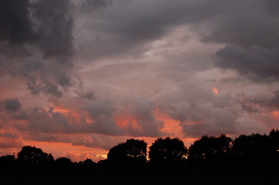 sunset, himmel, cloud, cloud - sky, silhouette, tree, beauty in nature HD wallpaper