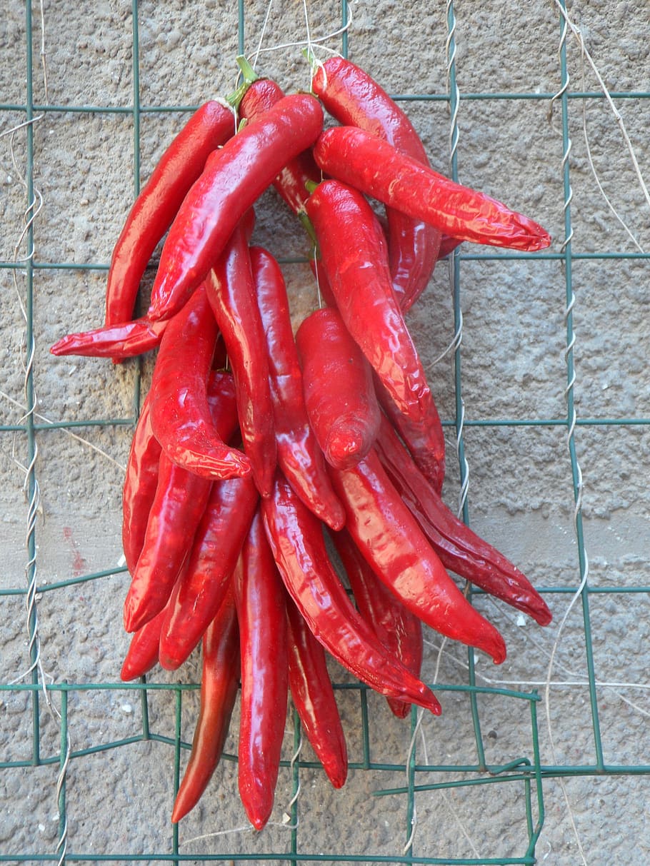 Pepperoni, Chilli, Sharp, red, fiery, suspended, pods, pepper crop HD wallpaper