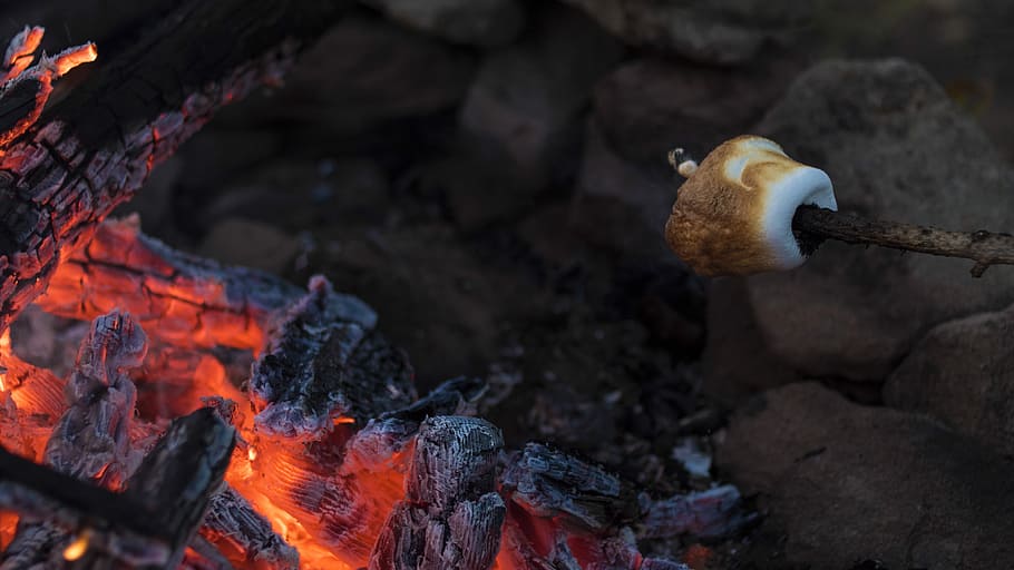 grilled marshmallow on fire pit, burnt charcoal, marshmellow, HD wallpaper