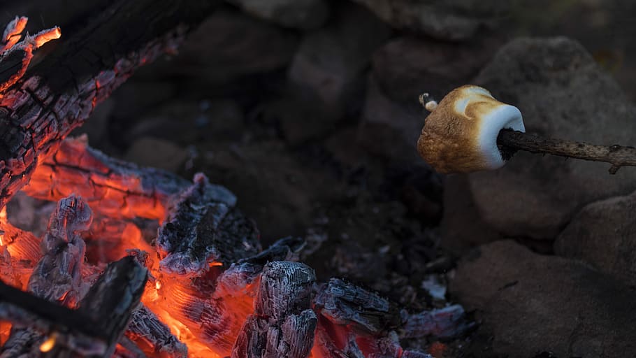 grilled marshmallow on fire pit, burnt charcoal, marshmellow HD wallpaper
