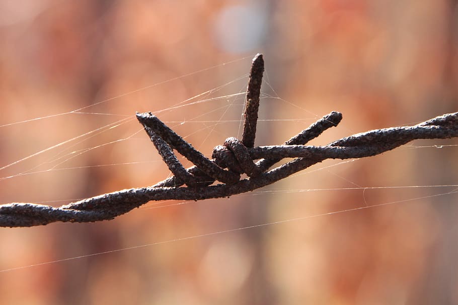 Close-Up, Iron, Old, Wire, barbed, rusty, industries, objects HD wallpaper