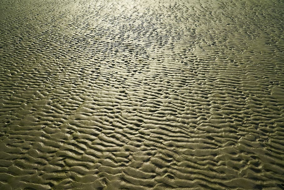 photography of brown mud, beach, terry, solar, reflection, texture HD wallpaper