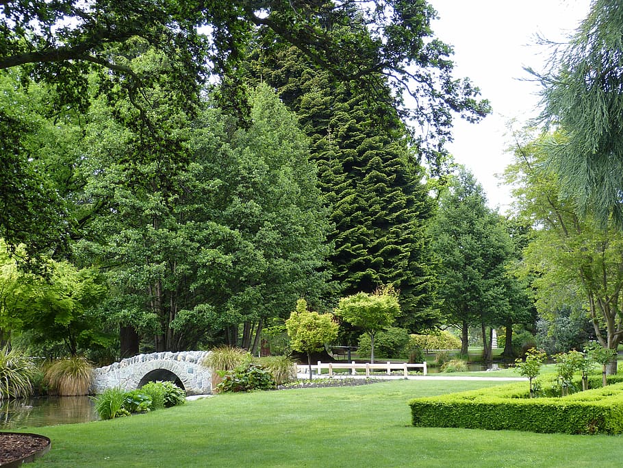 park, tree, rush, meadow, conifer, nature, bridge, bach, hedge HD wallpaper