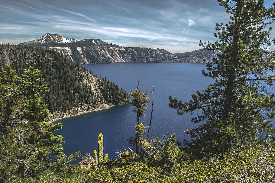 conifer, daylight, evergreen, lagoon, lake, landscape, majestic HD wallpaper